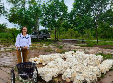 ติดตามการดำเนินธุรกิจรวบรวมผลผลิต (ยางพาราก้อนถ้วย) ... พารามิเตอร์รูปภาพ 3